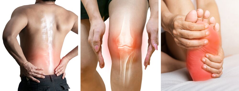 Κοινή θεραπεία Hondrolife